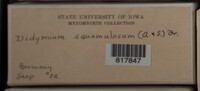 Image Associated With the Occurence